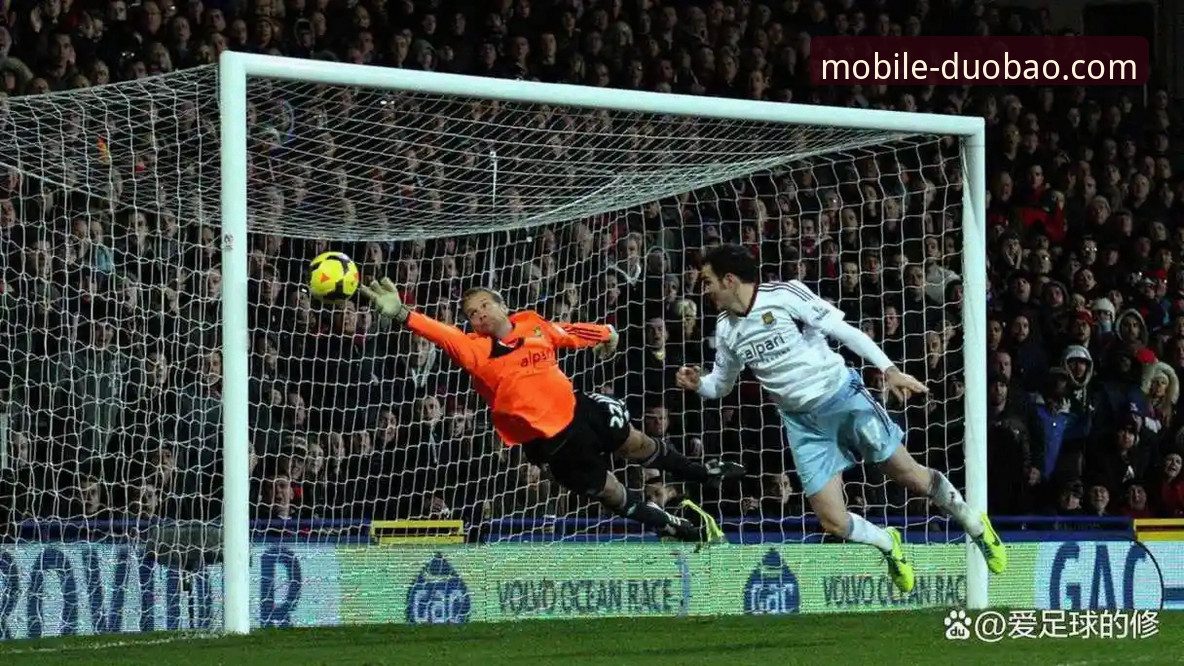 波黑淘汰意大利创历史，多宝体育平台观赛实用心得分享